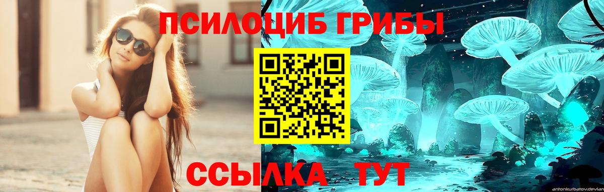 Псилоцибиновые грибы MAGIC MUSHROOMS Мурманск